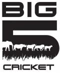 Big 5 Cricket & Hockey