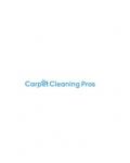 Carpet Cleaning Professionals Portsmouth