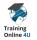 Training Online 4u